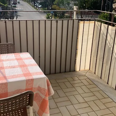 Zeus * 贾迪尼-纳克索斯